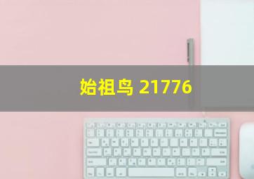 始祖鸟 21776